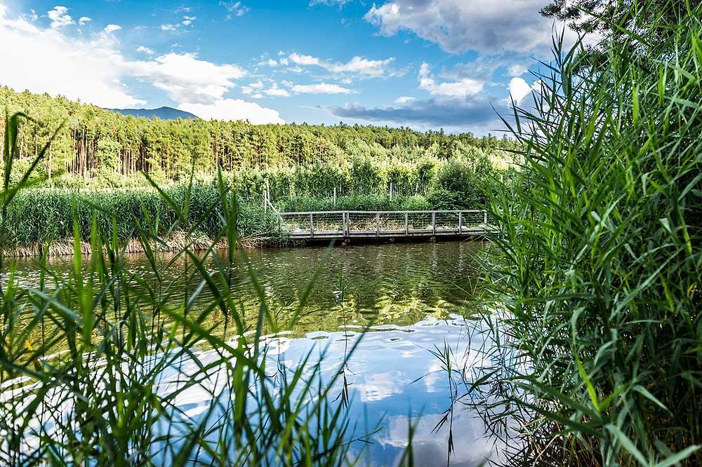 Walderhof Natz Villa Bagian luar foto